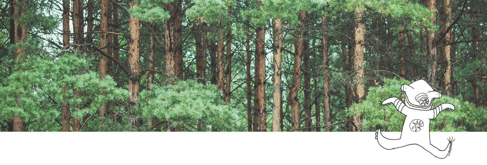 Cabello Sano y Normal