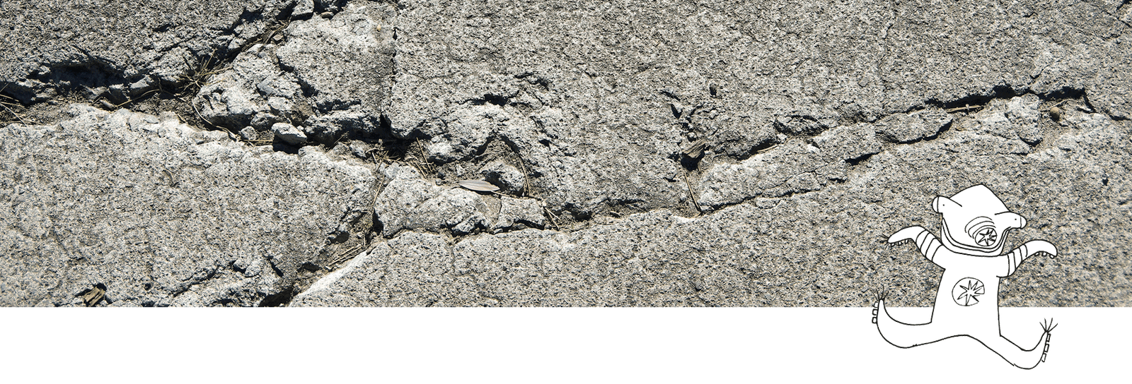 Cabello Dañado o Maltratado