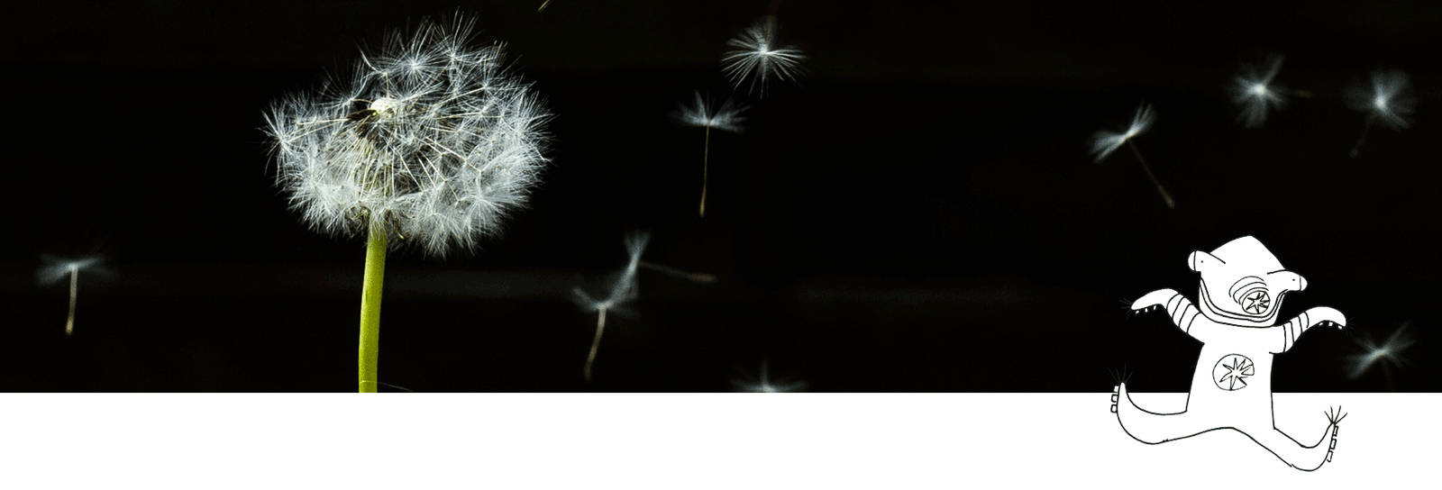 Caída o Pérdida de Cabello