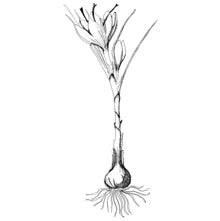 //mx.davines.com/cdn/shop/t/57/assets/davines-line-finest-pigment-deco-3.jpg?v=146126695551628076941757492411