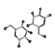//mx.davines.com/cdn/shop/t/57/assets/davines-line-naturaltech-deco-3.png?v=48525519344944069281757492419