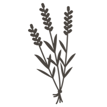 //mx.davines.com/cdn/shop/t/57/assets/davines-line-single-shampoo-deco-4.png?v=10996012474181549121757492422