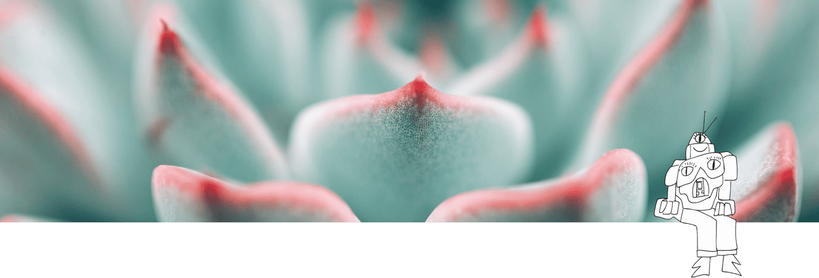 Cuero Cabelludo Graso