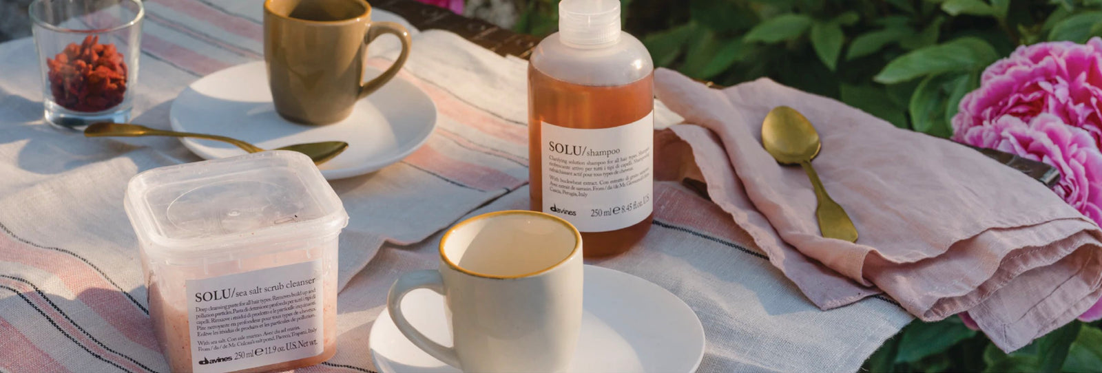 Nuestros favoritos ✨