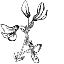 //mx.davines.com/cdn/shop/t/57/assets/davines-line-finest-pigment-deco-1.jpg?v=31471944834081645081757492410
