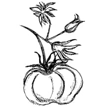 //mx.davines.com/cdn/shop/t/57/assets/davines-line-finest-pigment-deco-2.jpg?v=79889010406983862501757492411