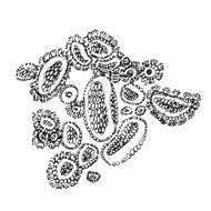 //mx.davines.com/cdn/shop/t/57/assets/davines-line-naturaltech-deco-4.png?v=171189248533084119171757492419