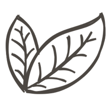 //mx.davines.com/cdn/shop/t/57/assets/davines-line-single-shampoo-deco-1.png?v=183516140813493506251757492420