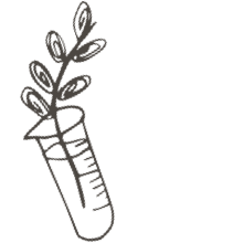 //mx.davines.com/cdn/shop/t/57/assets/davines-line-single-shampoo-deco-3.png?v=134859518317833459071757492421